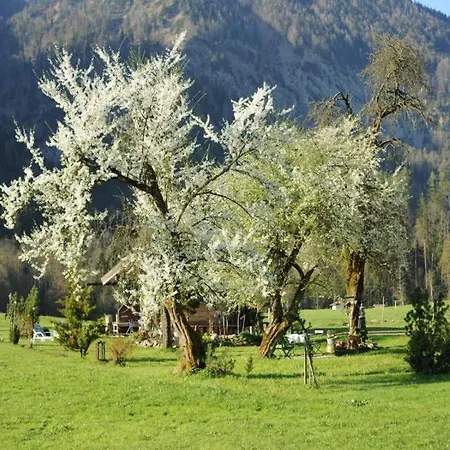 Hansenbauernhof Inkl. Chiemgaukarte *