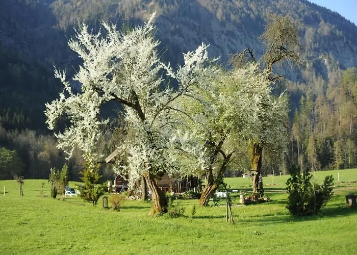 Hansenbauernhof Inkl. Chiemgaukarte *
